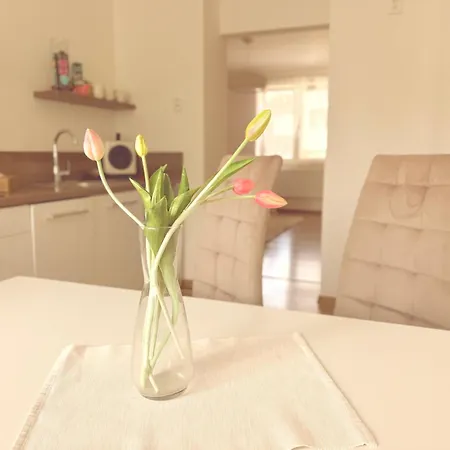 Trio Apartment